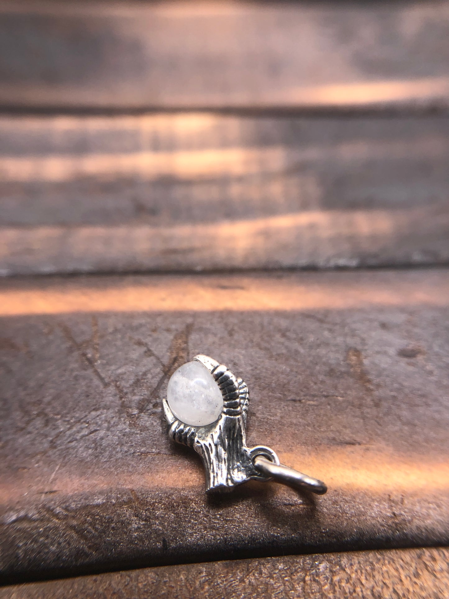 Silver Claw Talon pendant Natural Moonstone